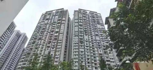 自贡怎么查询名下房产