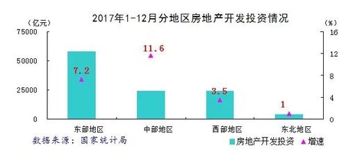 房产运营分成怎么分的