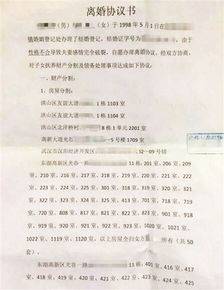 离婚房产怎么写范文图片