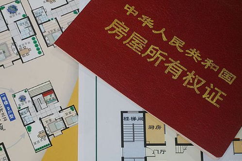 特别的房产介绍怎么写