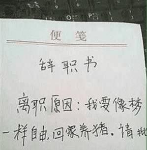 房产辞职书怎么写