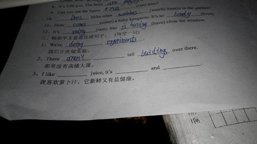 亲戚过户房产欠条怎么写 亲戚过户房产欠条怎么写