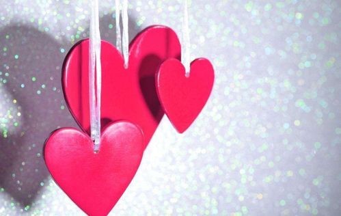 彩礼房产纠纷怎么选