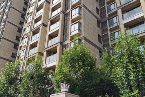 近晨房产怎么样