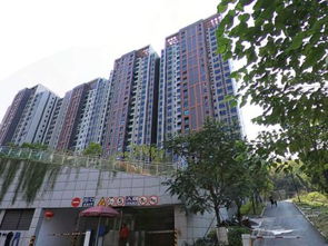 睿家房产怎么样