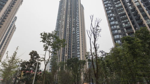 最近重庆房产怎么样 最近重庆房产怎么样