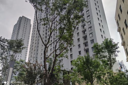 卓光房产怎么样