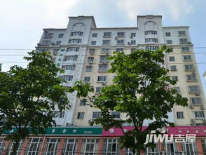 中奇房产怎么样