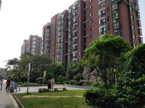 东城守信房产怎么样