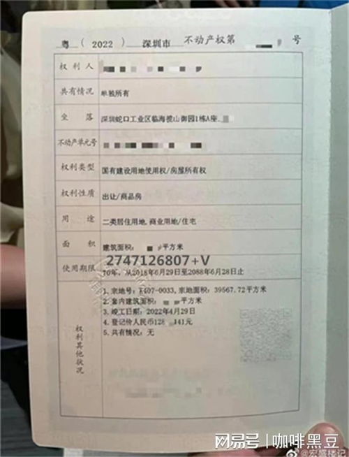 房产确权隐患怎么写报告