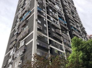 乐平乐信房产怎么分成