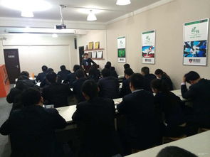 房产顾问杨凌简介怎么写