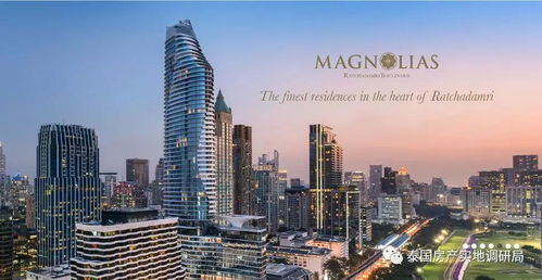 怎么能在泰国买到房产