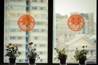 夫妻结婚房产归属怎么写