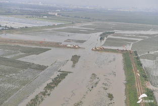 大堤口房产怎么样
