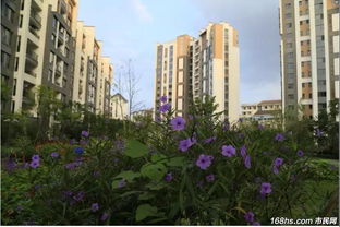 屯溪宇通房产怎么样