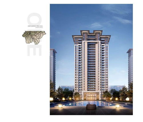 定州房产网怎么关注