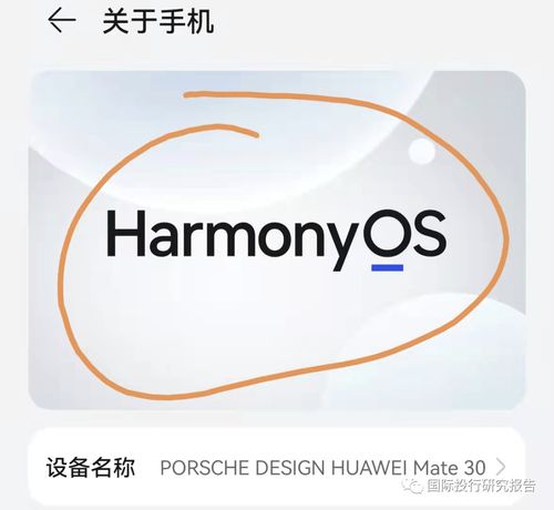 房产怎么能自己干