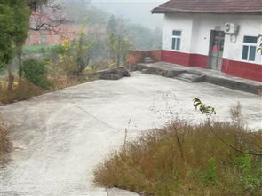 怎么在农村买山林房产 怎么在农村买山林房产