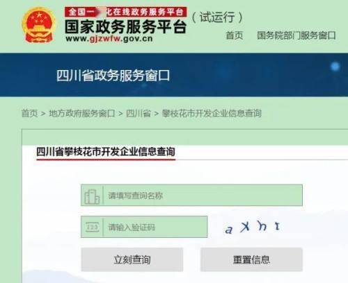 政务中心网上怎么查房产