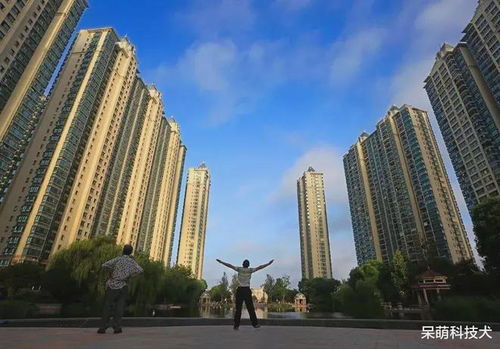 都挺好房产怎么样