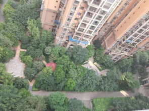 树高房产怎么样