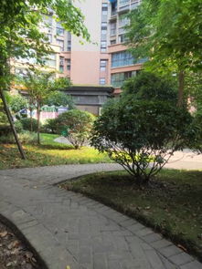 树高房产怎么样