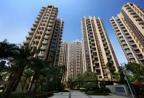 柳堡房产怎么办