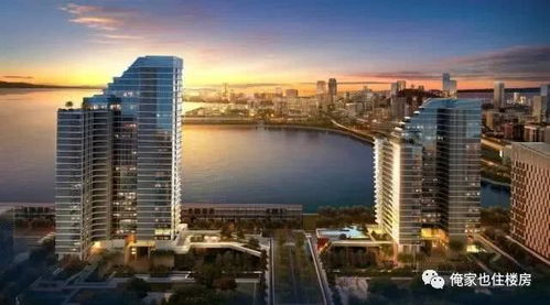 深圳的房产号怎么查