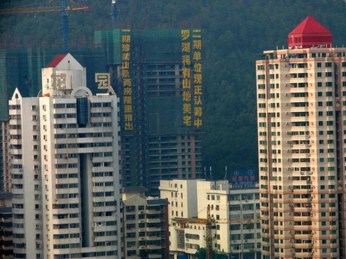 干房产行政怎么样