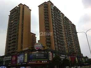 美缘房产怎么样