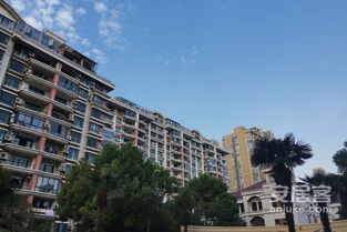 虹桥会展房产怎么样