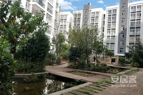 楚雄现在房产怎么样