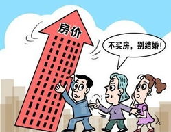 女婿想强占房产怎么处理