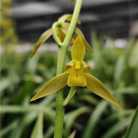 金凤玉露房产怎么样