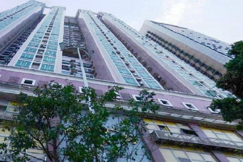 齐齐哈尔顺意房产怎么样