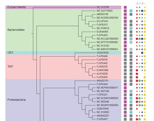 美化房产的话语怎么写
