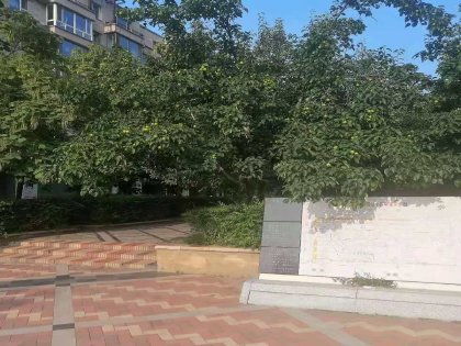 滕州鸿博房产怎么样