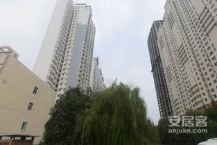 长兴大锤房产怎么样