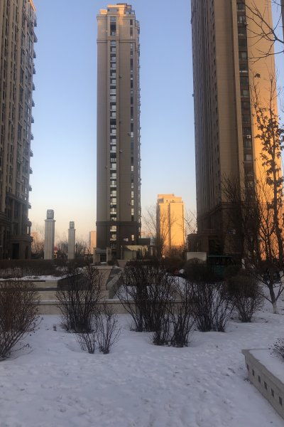 洛阳喜鹊房产怎么样