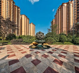 拍房产还可以怎么拍