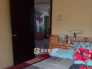 房子监理公司怎么查房产