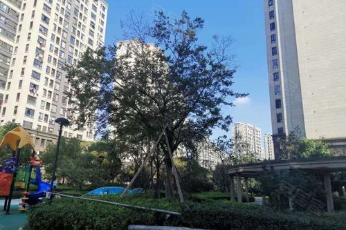 天境房产怎么样