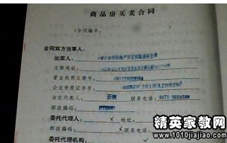 乙方房产咨询怎么写范文