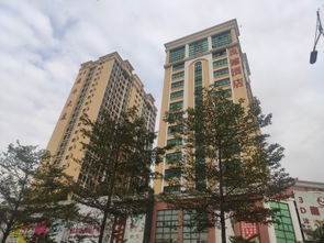 同盈房产怎么样