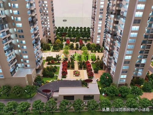 易县惠东房产怎么样