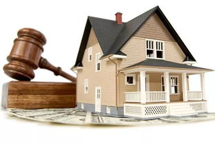 法院是怎么查房产的