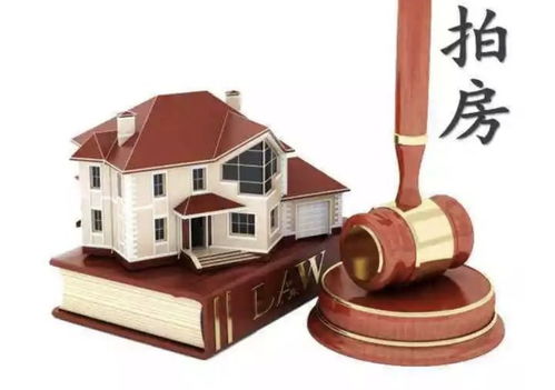 法院拍卖的房产怎么买