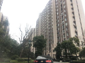 东郊投资房产怎么样