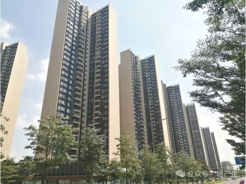 房产公司怎么拍地